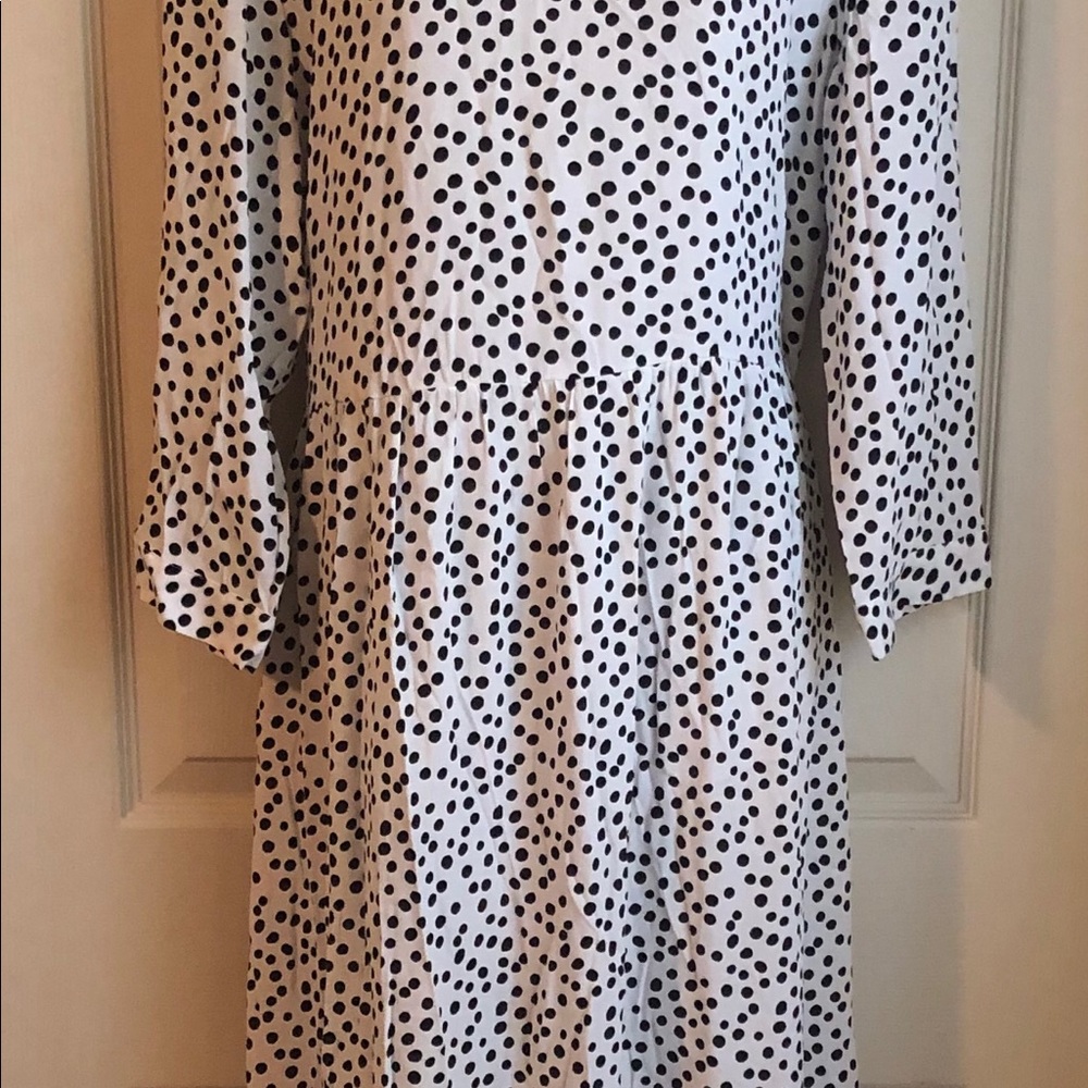 Zara “Polka Dress” - Picture 3 of 6